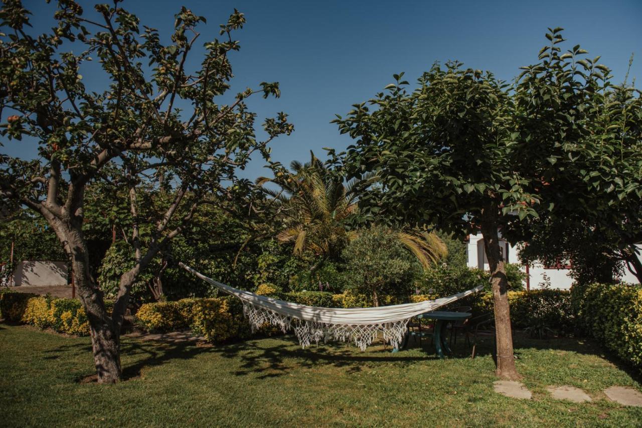 Casa De Marlaes Villa Lousada Luaran gambar
