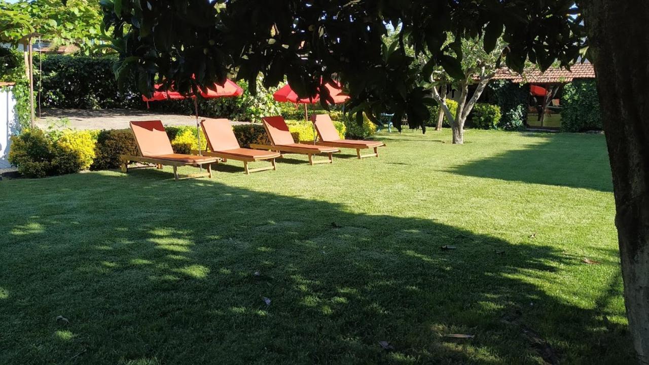 Casa De Marlaes Villa Lousada Luaran gambar