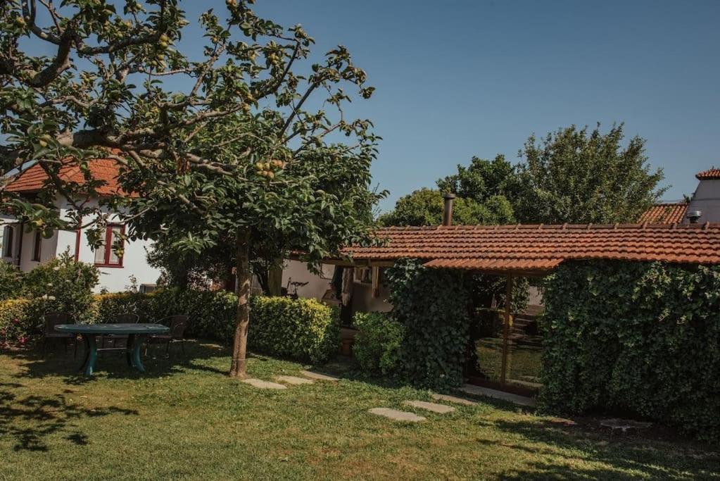 Casa De Marlaes Villa Lousada Luaran gambar