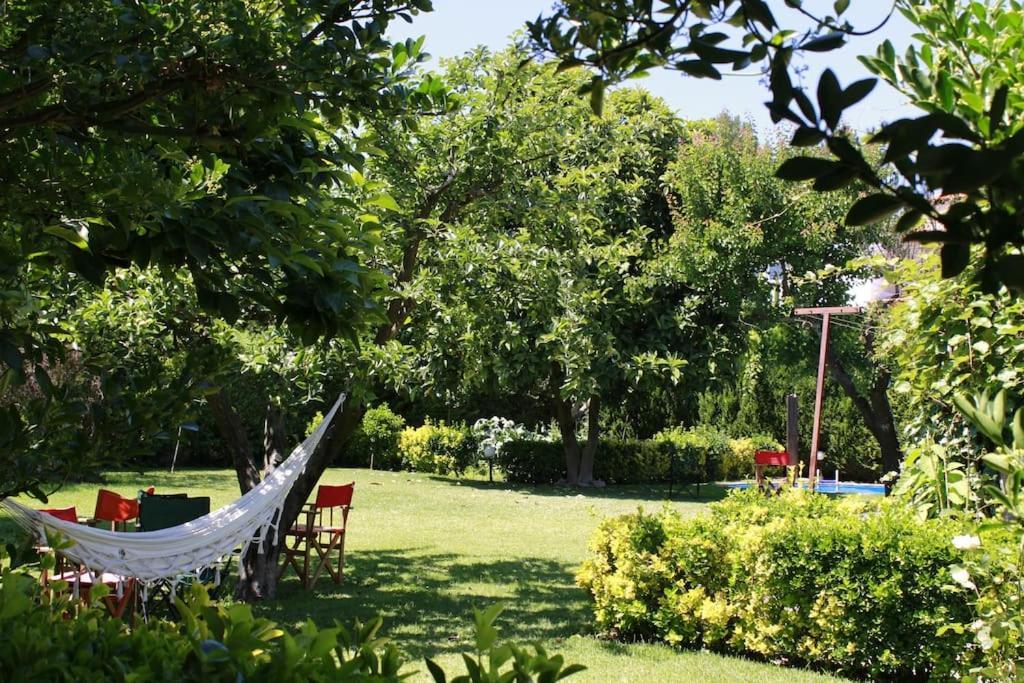 Casa De Marlaes Villa Lousada Luaran gambar