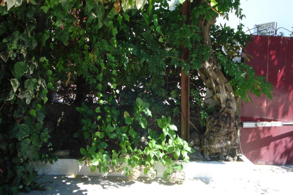 Casa De Marlaes Villa Lousada Luaran gambar